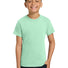 COMFORT COLORS ® Youth Heavyweight Ring Spun Tee. 9018  Island reef_1