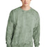 Comfort Colors® Color Blast Crewneck Sweatshirt 1545 Fern_1