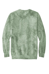 Comfort Colors® Color Blast Crewneck Sweatshirt 1545 Fern_5