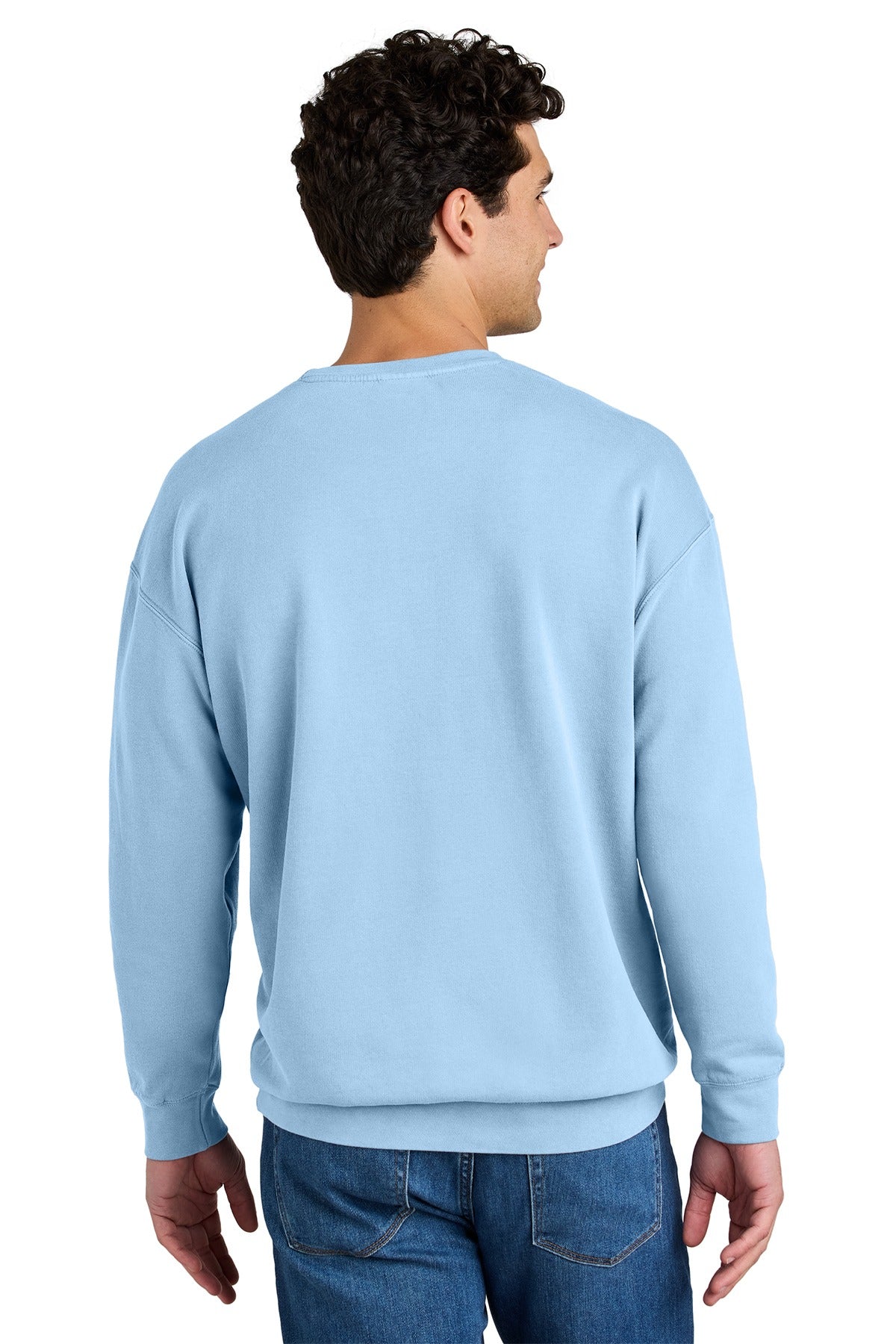 Comfort Colors ®  Lightweight Crewneck Sweatshirt 1466 Hydrangea_1