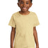 Comfort Colors ®  Youth Heavyweight Color Blast Tee 1745Y Citrine