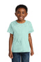 Comfort Colors ®  Youth Heavyweight Color Blast Tee 1745Y Sea Glass