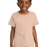 Comfort Colors ®  Youth Heavyweight Color Blast Tee 1745Y Umber