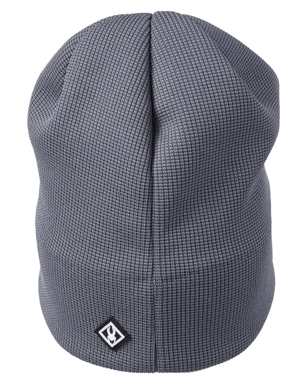 Constant Canyon Beanie Polar_2