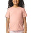 Gildan ®  Youth Softstyle ®  CVC Tee 64000BCVC Dusty Rose_1