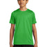 Nike Youth Swoosh Sleeve rLegend Tee NKDX8787 Apple Green_1