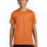 Nike Youth Swoosh Sleeve rLegend Tee NKDX8787 Desert Orange_1