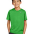 Nike Youth Team rLegend Tee DV7317 Apple Green_1