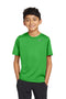Nike Youth Team rLegend Tee DV7317 Apple Green_1