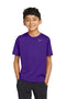 Nike Youth Team rLegend Tee DV7317 Court Purple_1