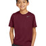 Nike Youth Team rLegend Tee DV7317 Deep Maroon_1