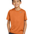 Nike Youth Team rLegend Tee DV7317 Desert Orange_3
