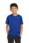 Nike Youth Team rLegend Tee DV7317 Game Royal_1